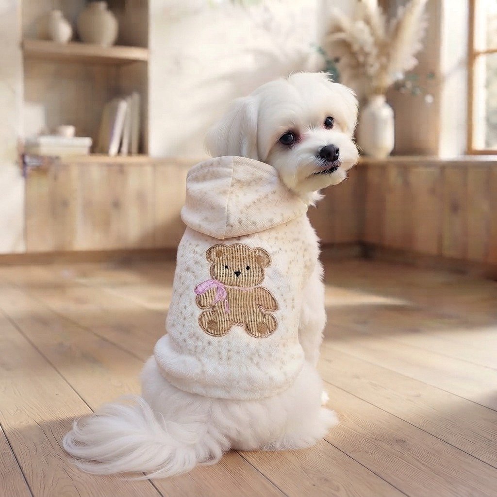 Bear pattern pet sweatshirt for walks and outings