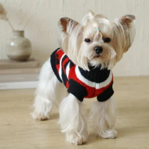 Black and red poker dog sweater with a bold poker-inspired design