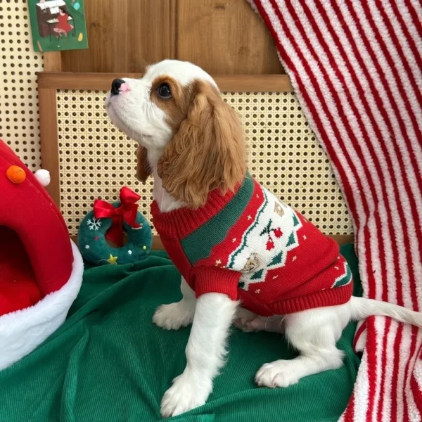 Festive red Christmas dog sweater for winter outings