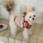 Poppy Red & White Flower Dog Sweater
