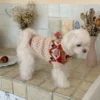 red-flower-knit-dog-sweater Red flower knit dog sweater with white base