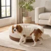 Sienna Oslo low profile dog bed with plush cushioned interior