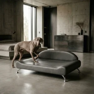 Atlas Luxe Orthopedic Large Dog Bed