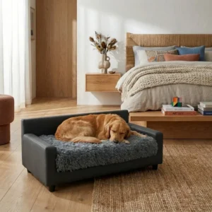benson orthopedic dog sofa bed
