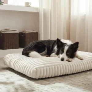 harper comfort foam dog bed