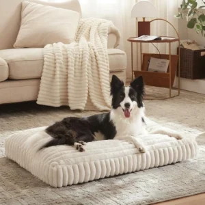 Harper Foam Dog Bed
