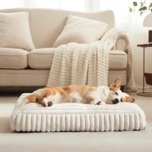 harper foam dog bed home