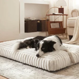 harper foam pet bed