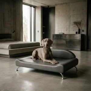 large orthopedic dog bed